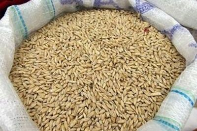 Полипропиленовые мешки и биг бэги для пшеницы в Ангарске